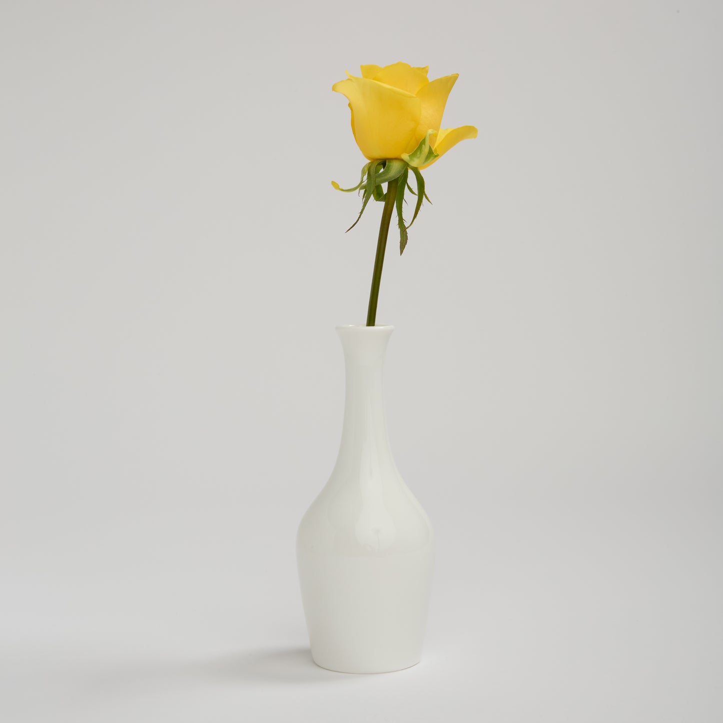 Decorative Vase (6 Pieces)